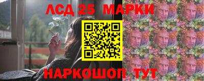 прущие грибы Абакан