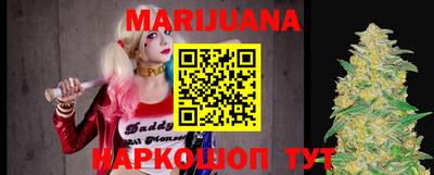 прущие грибы Абакан