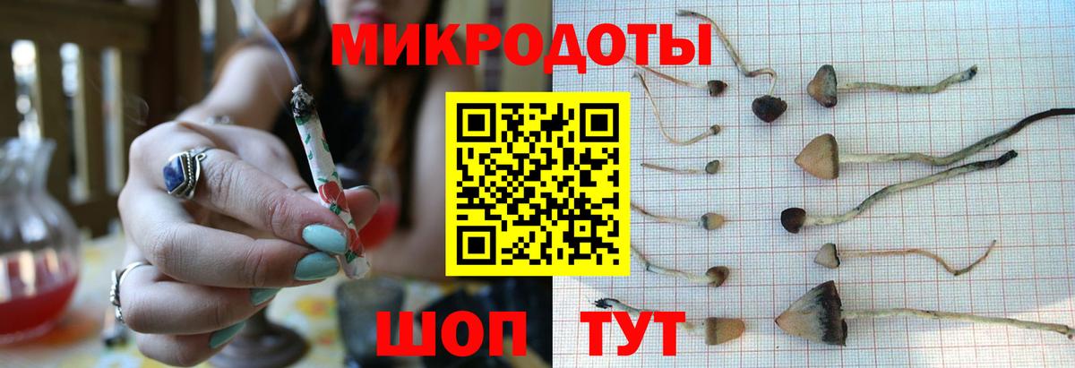 Псилоцибиновые грибы мицелий Алушта